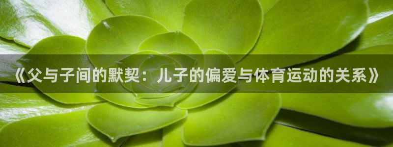 3377体育app下载安装：《父与子间的默契：儿子的偏爱与体育运动的关系》