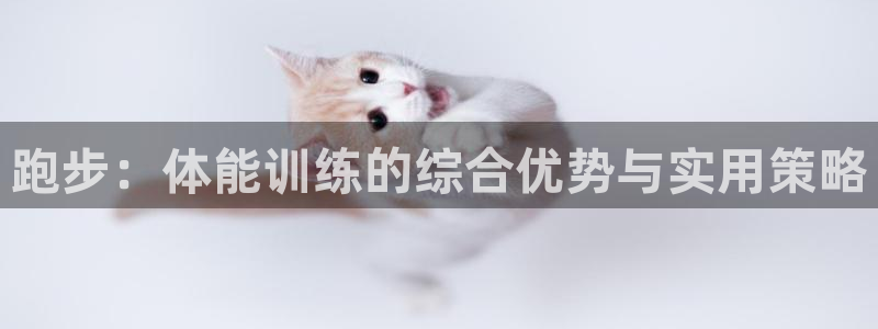 3377体育靠谱吗：跑步：体能训练的综合优势与实用策略