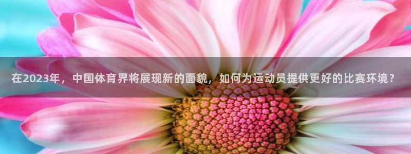 3377体育com：在2023年，中国体育界将展现新的面貌，如何为运动员提供更好的比赛环境？