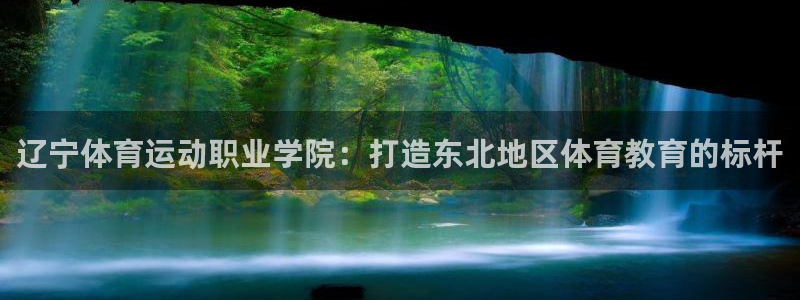 3377体育：辽宁体育运动职业学院：打造东北地区体育教育的标杆