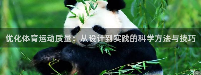 3377体育在线登录官网入口：优化体育运动质量：从设计到实践的科学方法与技巧