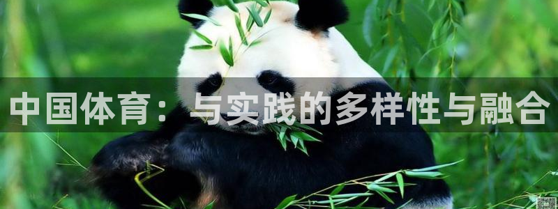 3377体育在线登录官网入口：中国体育：与实践的多样性与融合