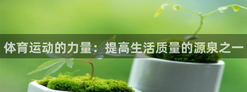 3377体育官网：体育运动的力量：提高生活质量的源泉之一