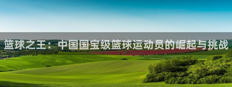 3377体育靠谱吗：篮球之王：中国国宝级篮球运动员的崛起与挑战