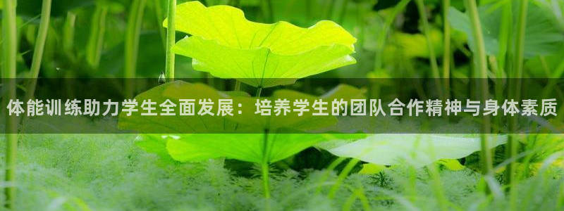 3377体育(中国)官方网站：体能训练助力学生全面发展：培养学生的团队合作精神与身体素质