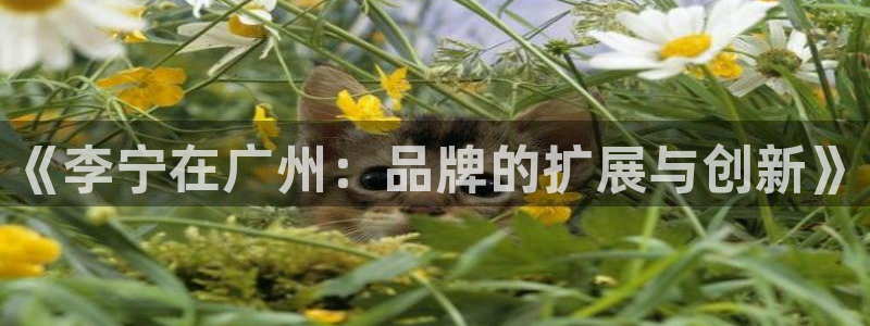 3377体育官网入口下载最新：《李宁在广州：品牌的扩展与创新》