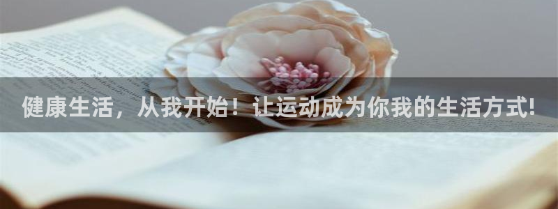 3377体育app登录入口