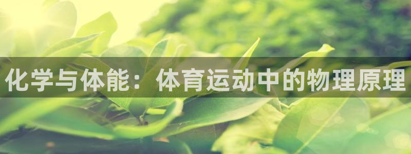 3377体育平台：化学与体能：体育运动中的物理原理